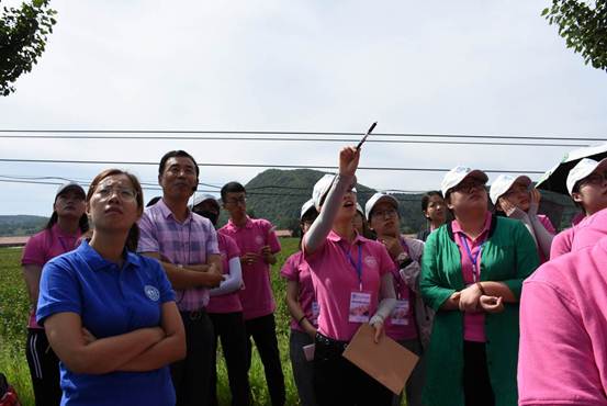 说明: //oa.jpavzwzm.com/defaultroot/upload/html/20180824191135360011.jpg